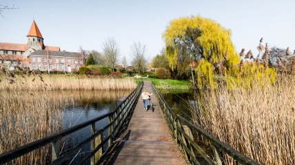 Herfstwandeling in Wielsbeke